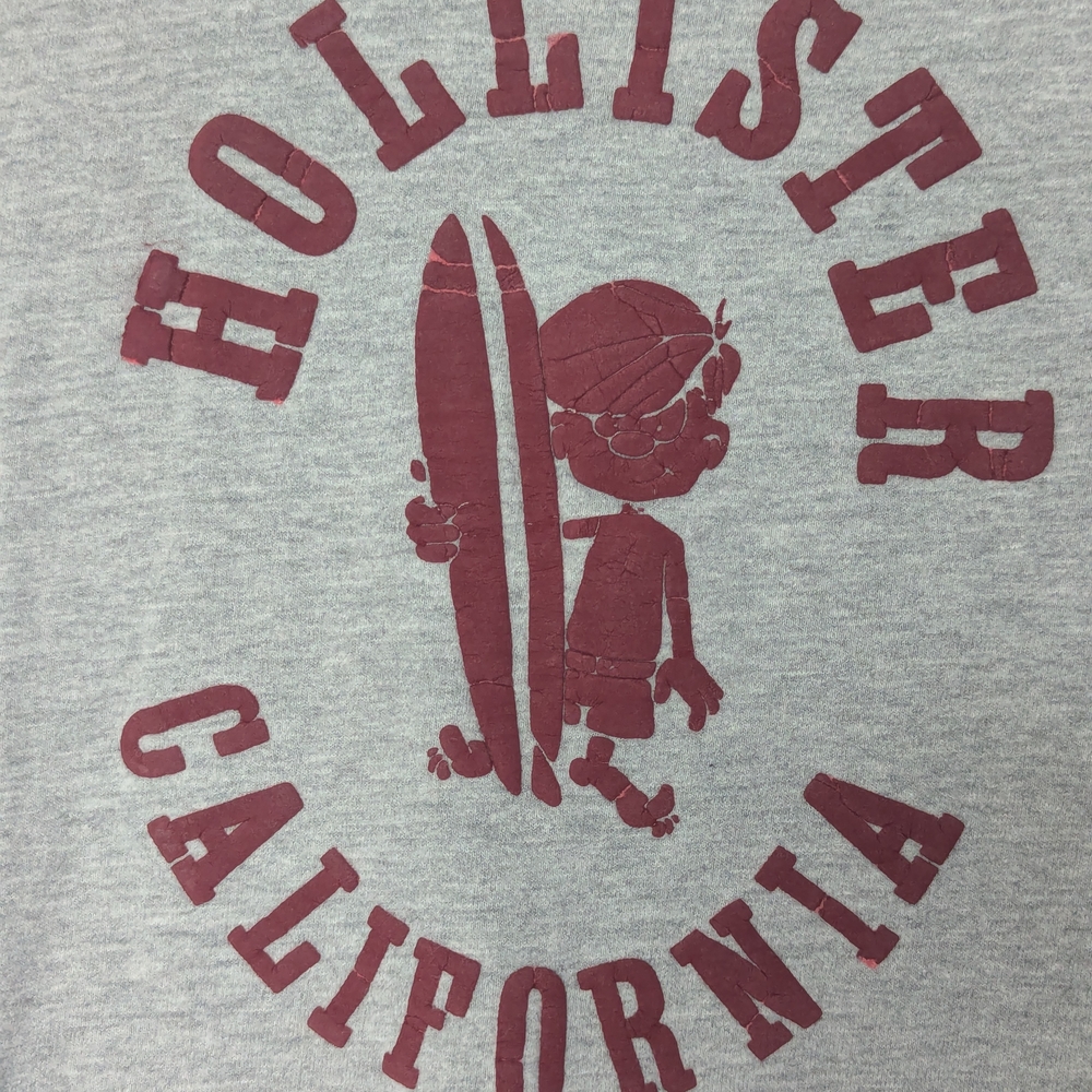 Hollister  Gray T-Shirt